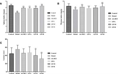 Gracilariopsis lemaneiformis Polysaccharide Attenuates D-Galactose–Induced Aging of Mice by Regulating Oxidative Stress and Gut Microbiota